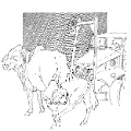 Don Art_screenview_1500dpi (80)_sm